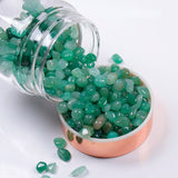 Crystal Infuser Water Bottle