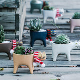 Cats Mini Planters