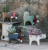 Cats Mini Planters