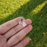 Natural Stone Mini Mushrooms