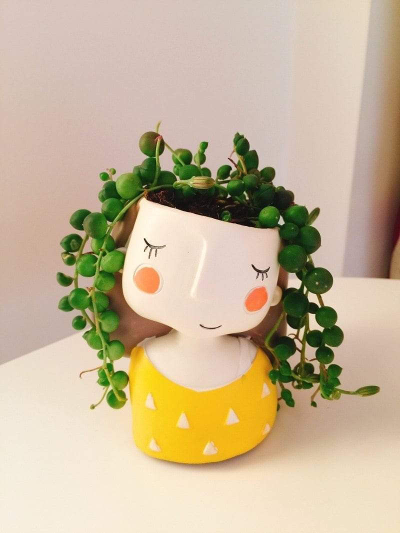 Crazy Plant Lady Planter