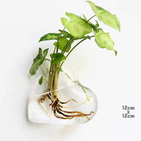 Hydroponic Wall Mounted Vases