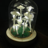 DIY Enchanted Mushroom Forest Lamp