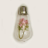 Flower Bulb String Lights