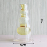 Nordic Hydroponic Transparent Glass Vase