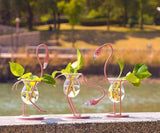 Flamingo Standing Propagation Station