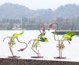 Flamingo Standing Propagation Station