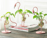 Flamingo Standing Propagation Station