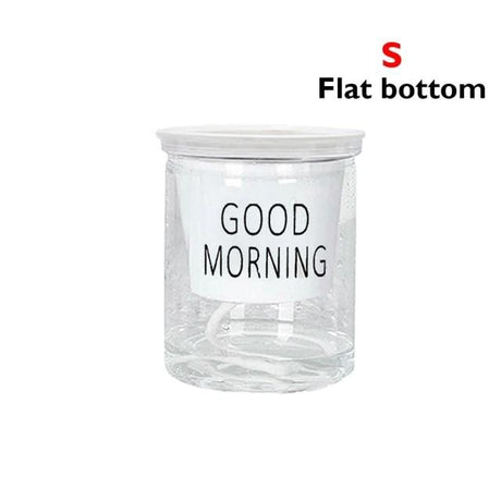 Hydroponic Lazy Self-Watering Flowerpot