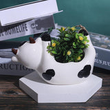 Hanging Mini Animals Plant Pots