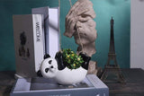 Hanging Mini Animals Plant Pots