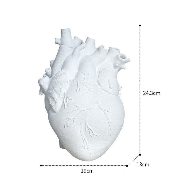 Anatomical Heart Vase