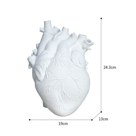 Anatomical Heart Vase