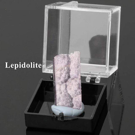 Irregular Natural Stones Specimens