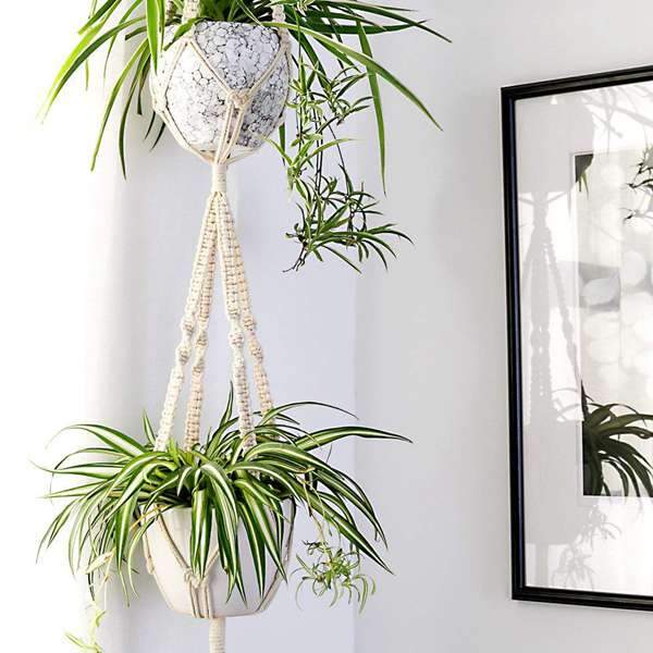 Macrame Plant Hangers Bundle