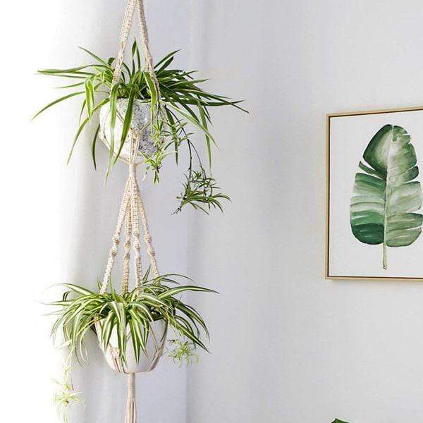 Macrame Plant Hangers Bundle