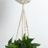 Macrame Plant Hangers Bundle