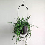 Metal Hanging Plant Pot