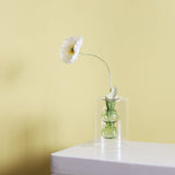 Nordic Hydroponic Transparent Glass Vase