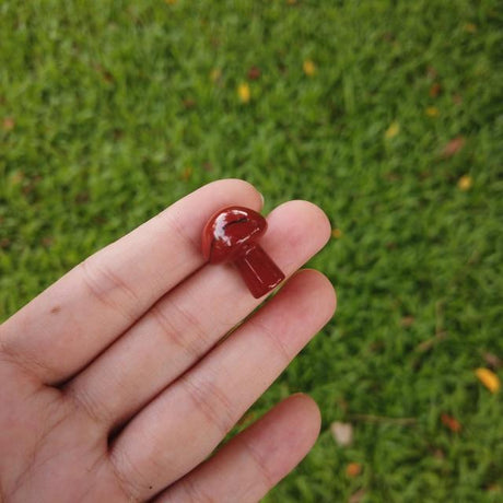 Natural Stone Mini Mushrooms