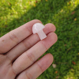 Natural Stone Mini Mushrooms