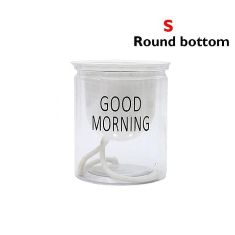 Hydroponic Lazy Self-Watering Flowerpot