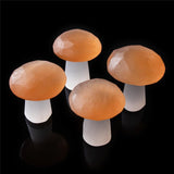 Selenite Mushroom Carving