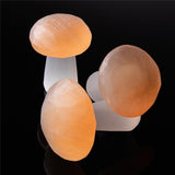 Selenite Mushroom Carving