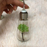 Flower Bulb String Lights