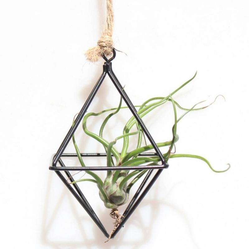 Swing Rhombus Plant Holder