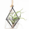 Swing Rhombus Plant Holder