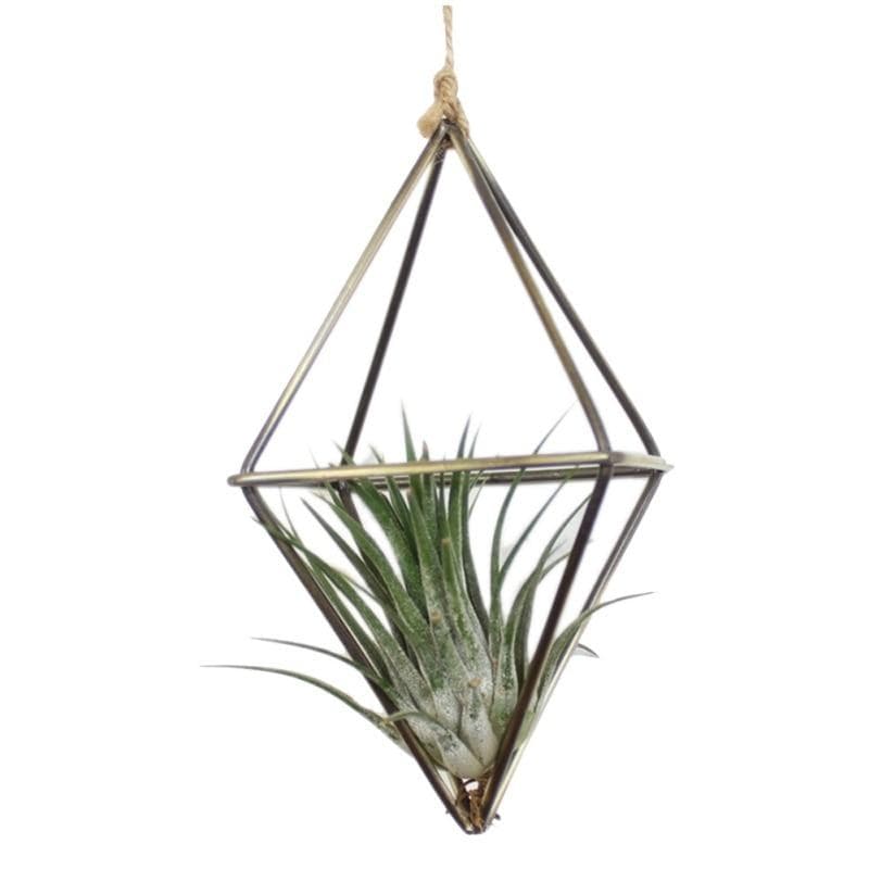 Swing Rhombus Plant Holder