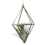 Swing Rhombus Plant Holder
