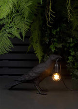 The Raven Wall Light