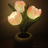 Tulip LED Night Light